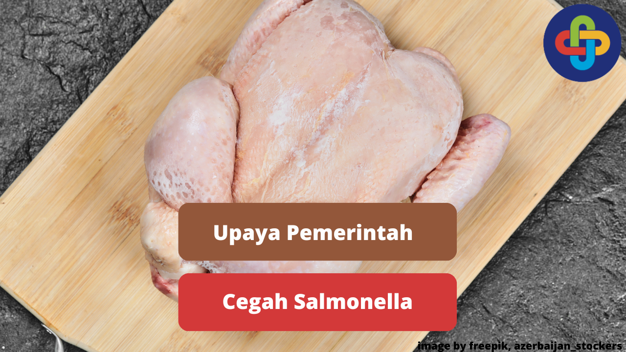 Upaya Yang Dapat Dilakukan Pemerintah Dalam Mengatasi Salmonella Daging Ayam